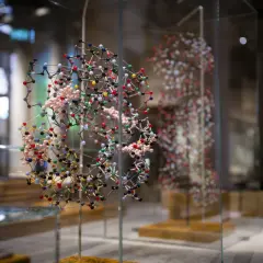 Molekylmodeller i glasmonter på Nobel Prize Museum.