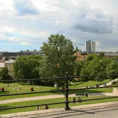 Sommar i Vitabergsparken, Stockholm. Människor njuter av solen på gräsmattan, med stadens takåsar och en teater i bakgrunden.