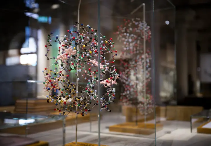 Molekylmodeller i glasmonter på Nobel Prize Museum.