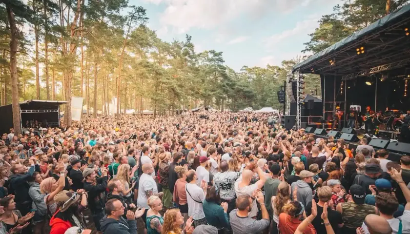 Stor publik njuter av musik på en utomhusfestival. Solen skiner genom träden vid Roots Stockholm.