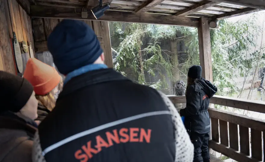 Djurupplevelser Stockholm - Skansen & mer: Planera smart!