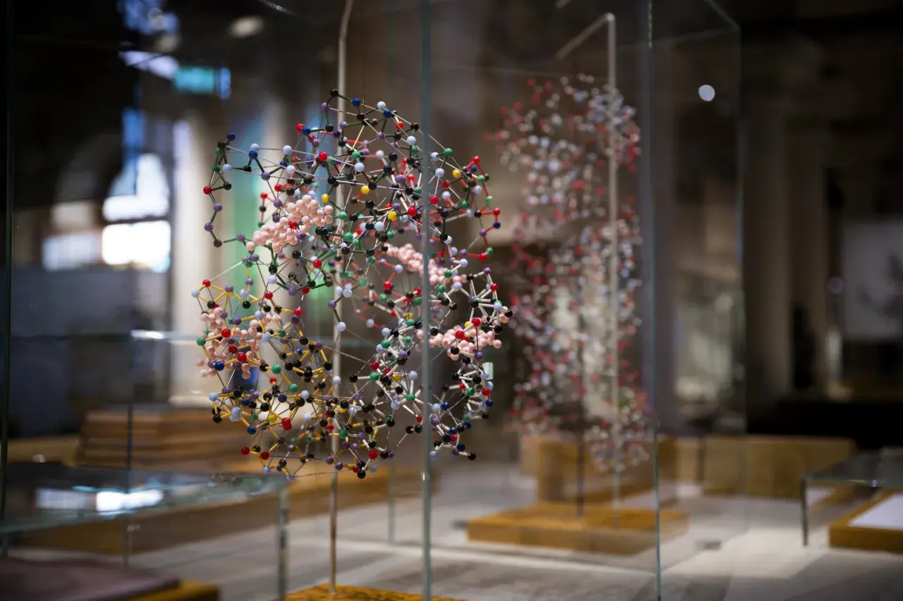 Molekylmodeller i glasmonter på Nobel Prize Museum.