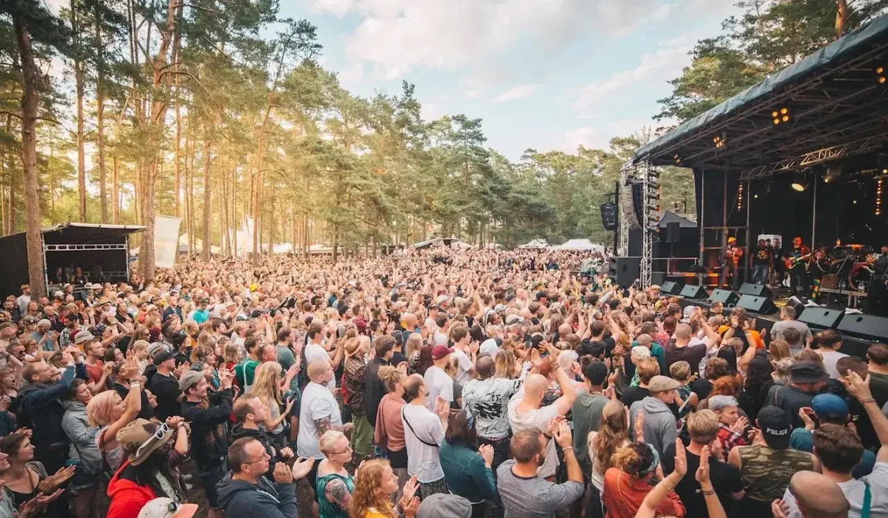 Stor publik njuter av musik på en utomhusfestival. Solen skiner genom träden vid Roots Stockholm.