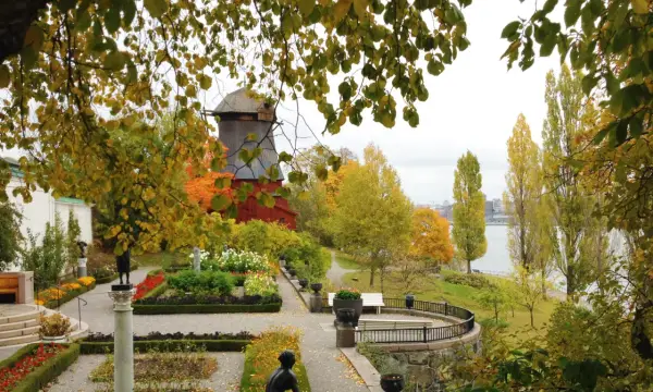 En höstlig park i Stockholm med en väderkvarn, blomsterrabatter och träd i gyllene färger. En vacker men lite tricky vy.
